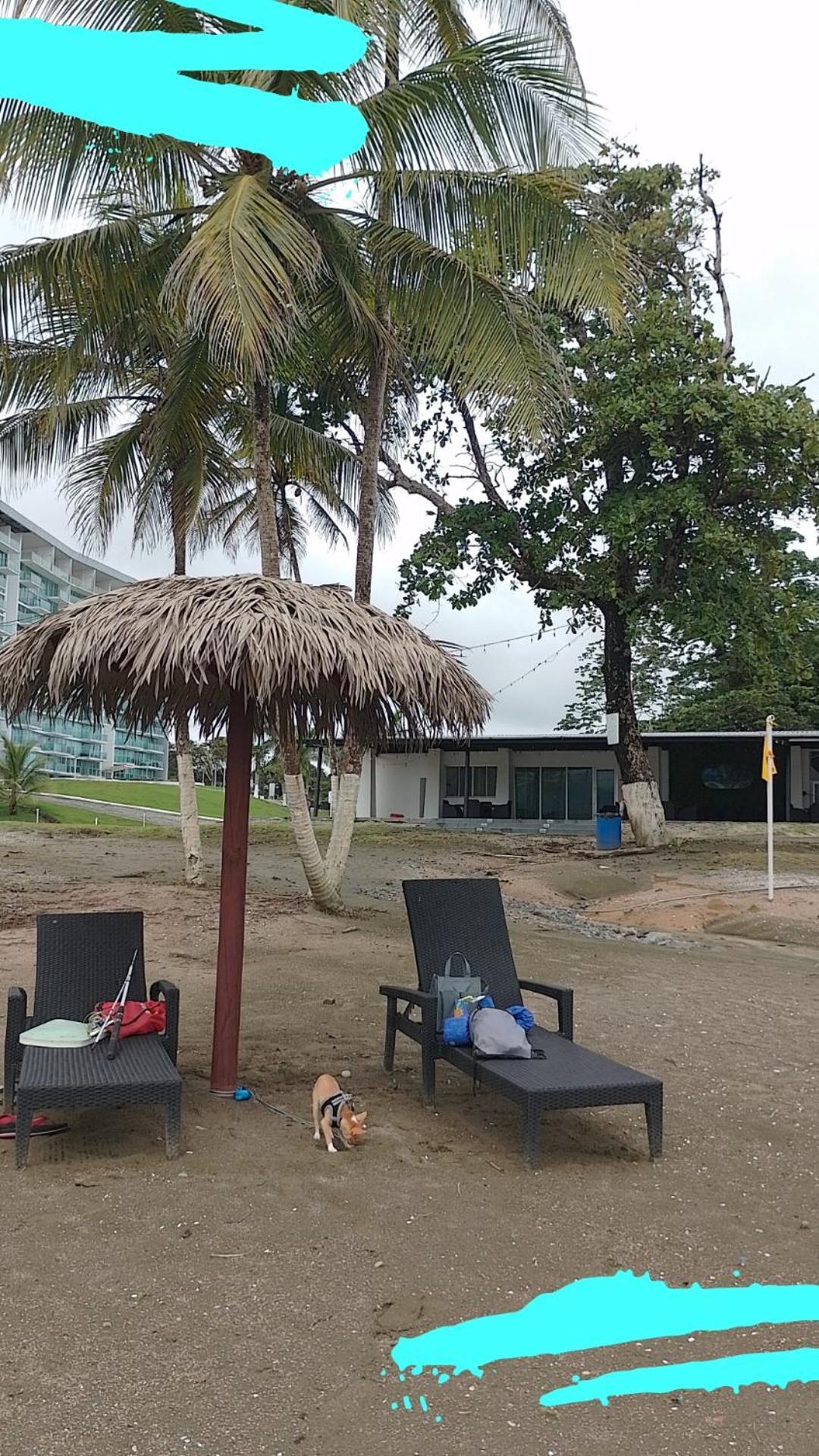 Apartamento En Balabeach Maria Chiquita In Front Of The Beach 2Hab Colon Oda fotoğraf